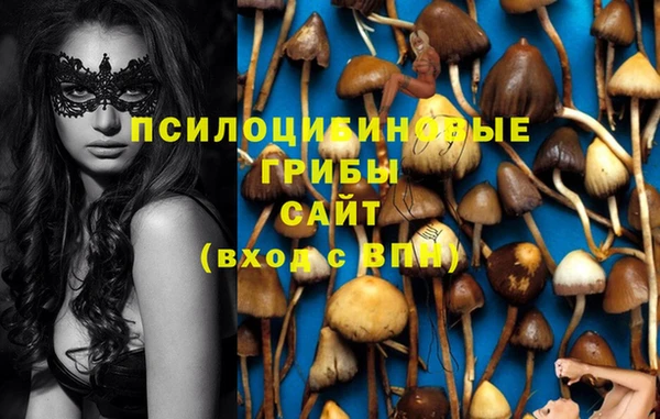 дживик Алексин