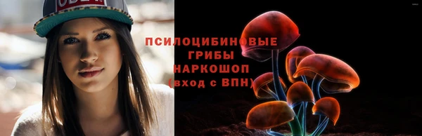 дживик Алексин