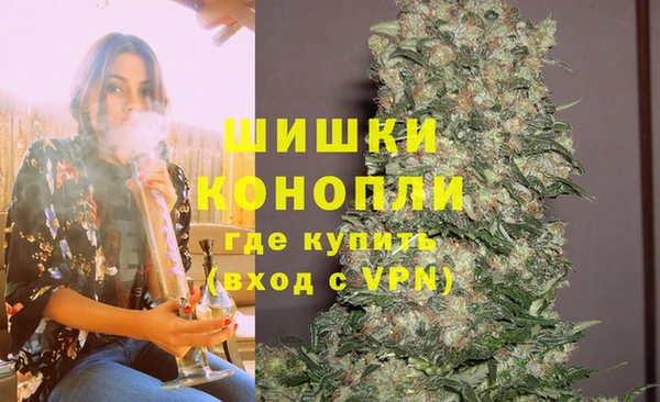 молекула духа Алзамай