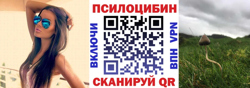 Галлюциногенные грибы Psilocybe  Кочубеевское 